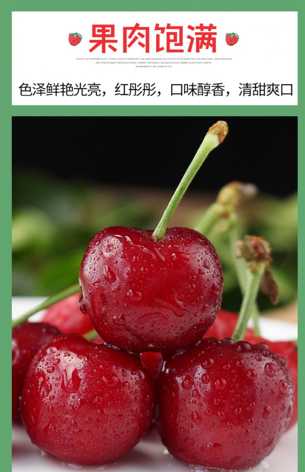 【顺丰空运隔日达】现摘山东烟台美早大樱桃5斤国产车厘子美早新鲜
