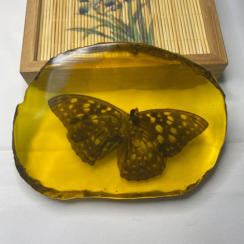 古珍虫珀人工琥珀隔片化石原石吊坠真虫子标本动物真昆虫带虫琥珀送