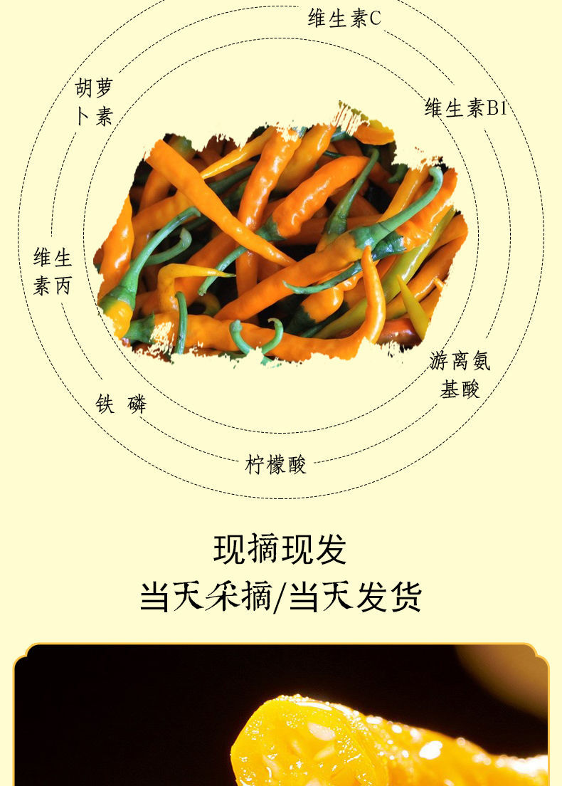 黄贡椒新鲜衡东三樟黄辣椒3斤5斤8斤现摘湖南特产黄尖椒新鲜黄贡椒三