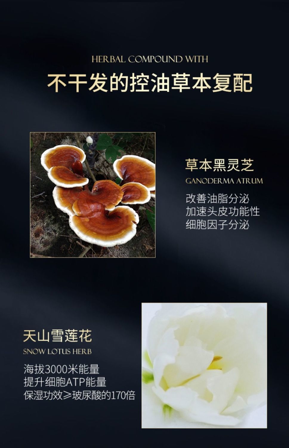 水控油蓬松防i脱发柔顺去毛躁去屑止痒洗头膏持i久留香味男女士灵芝