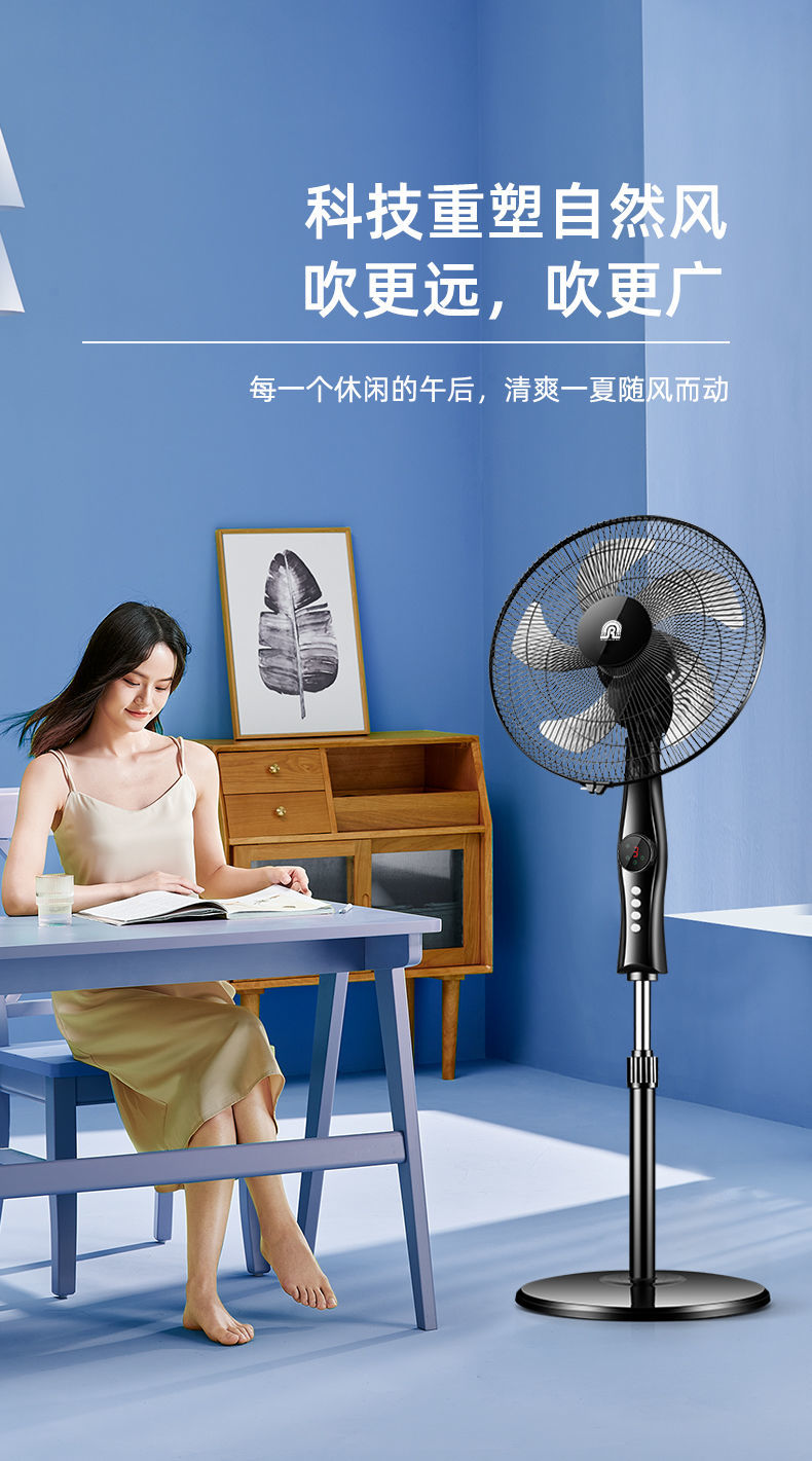 容声电风扇落地扇家用静音摇头机械定时台式立式宿舍节能工业电扇sa