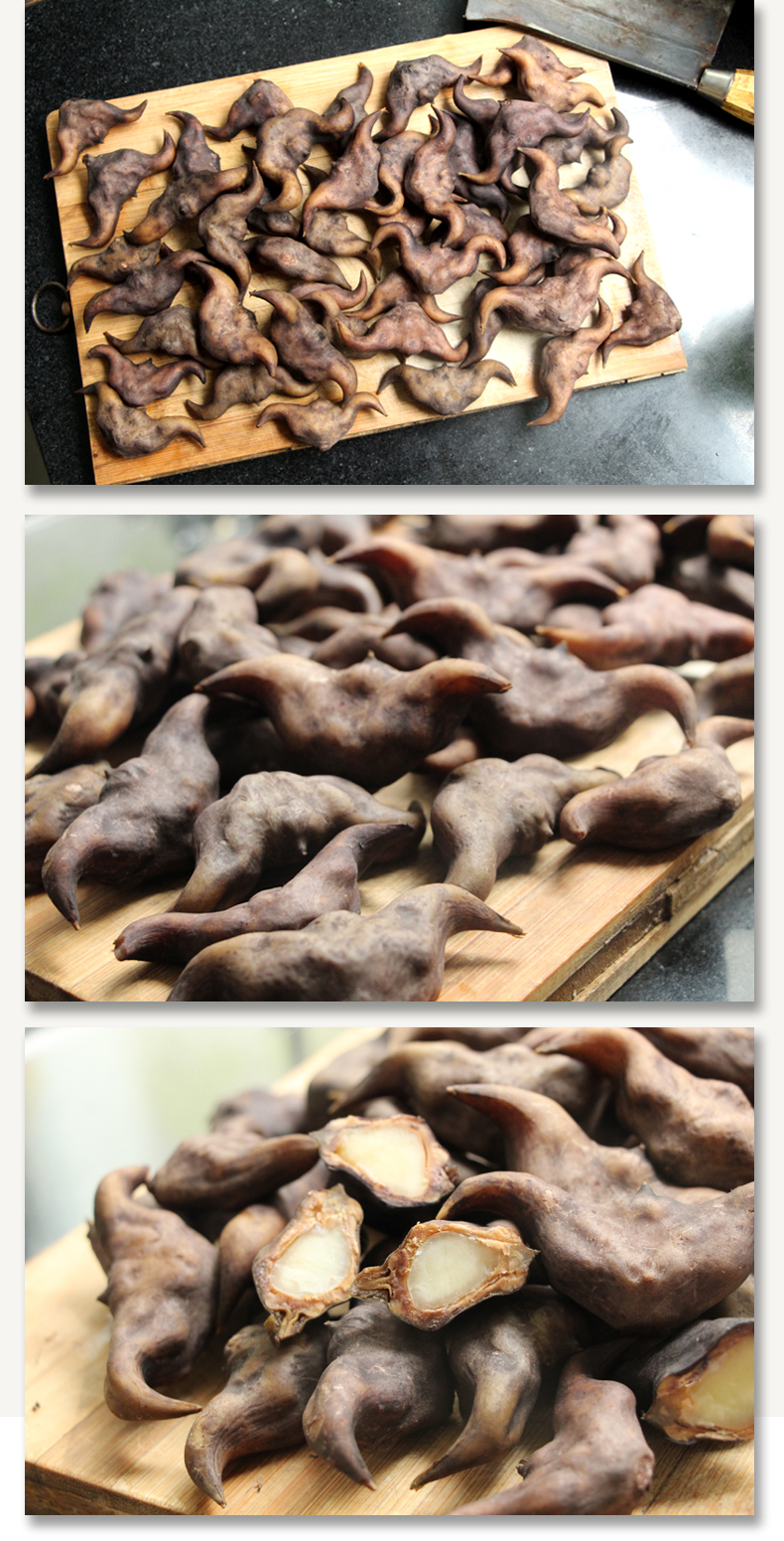 新鲜洪湖老菱角现摘现发带壳粉糯野生大青菱角凌角棱角特产蔬菜 1500g