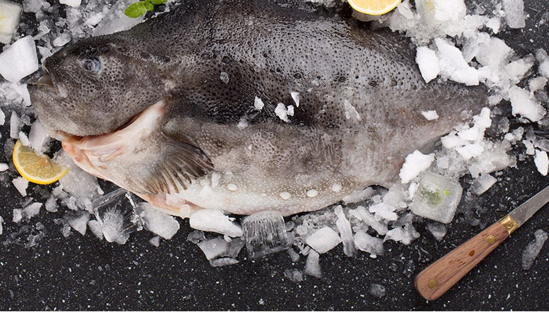 海参斑鱼去脏新鲜冷冻冰岛石斑鱼海鲜水产深海鱼 3.
