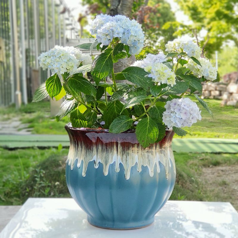 花盆蝴蝶兰欧式陶瓷花盆大号特大落地客厅红掌茶花茉莉绣球花种树大盆