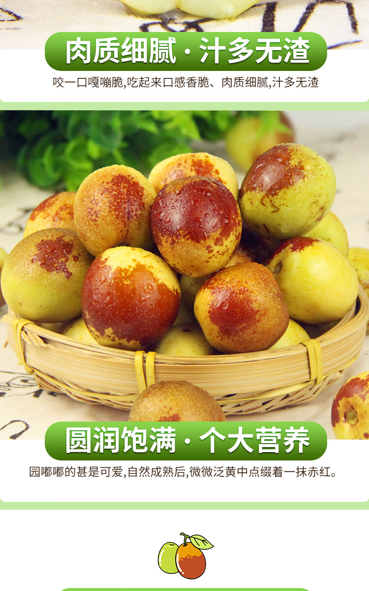 山东沾化冰糖冬枣新鲜特大果脆甜大红青枣当季水果整箱 5斤【脆甜冬枣