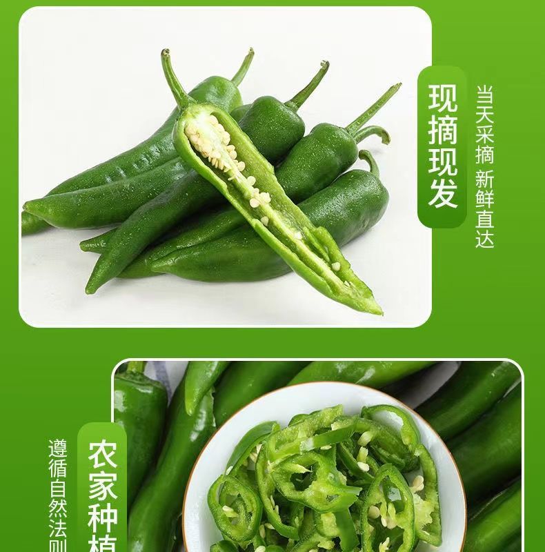 新鲜辣妹子辣椒美人椒朝天椒薄皮青尖辣椒土辣椒小辣椒剁椒辣 【够辣
