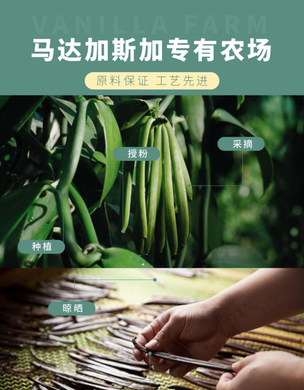 马达加斯加香草膏含香草籽lorann马达加斯加香草精香草荚香草酱烘焙