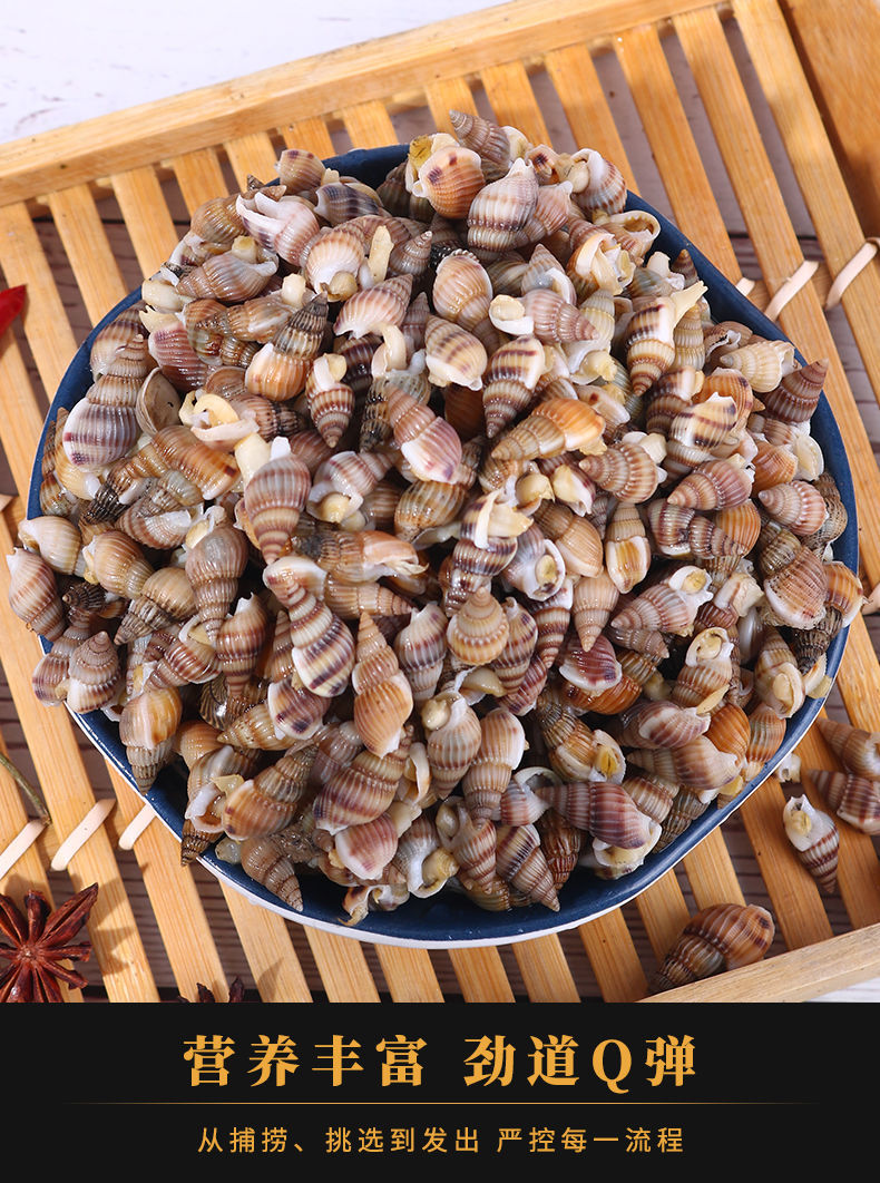 精选鲜活速冻海瓜子海螺丝新鲜钉螺大红枣螺冷冻海锥小海螺小海锥4斤