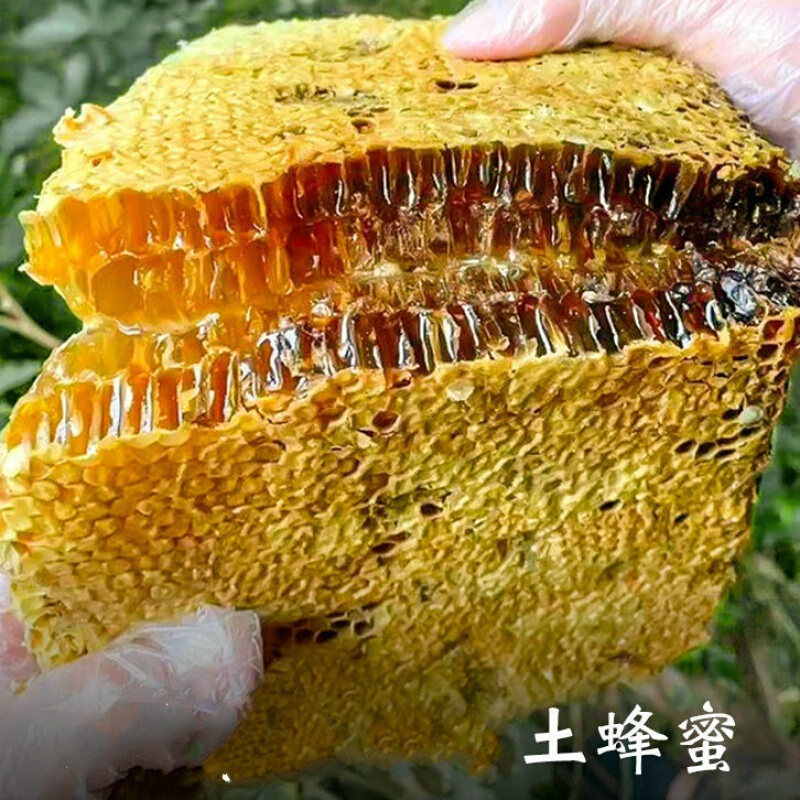 蜂蜜天然野生百花蜂蜜洋槐蜂蜜正宗农家自产天然真蜂蜜500g百花蜜500g