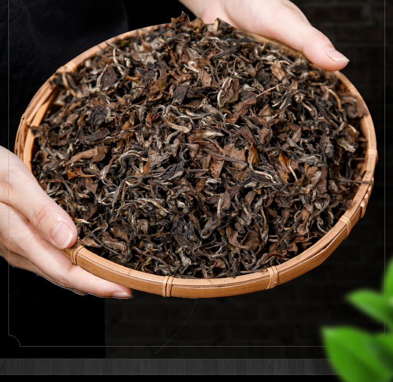 老白茶枣香福建福鼎陈香寿眉散茶散装2011年500g礼盒茶叶500g