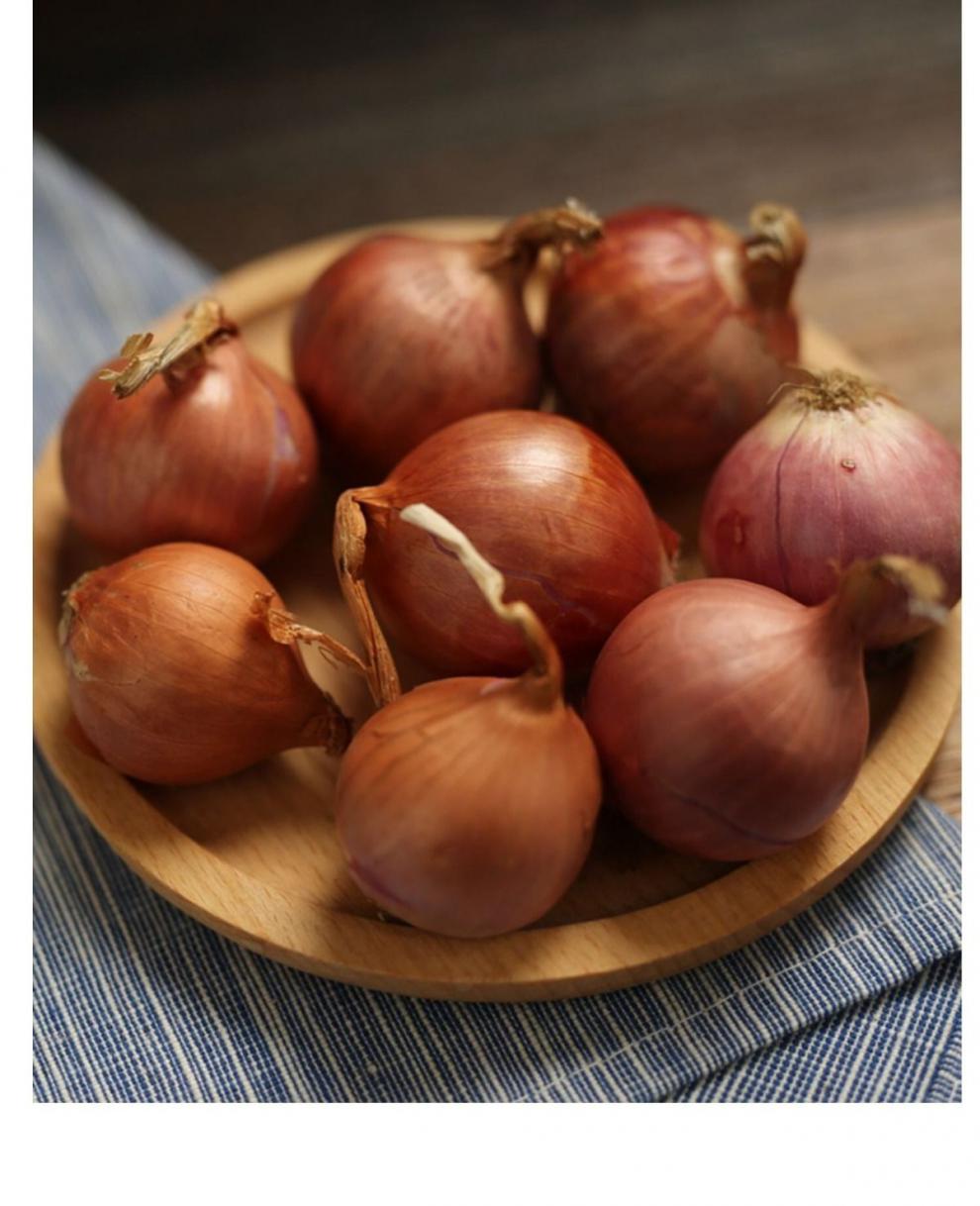 顺丰速发正宗东北小毛葱农家鬼子葱小葱头小洋葱红葱头干毛葱5斤装2斤