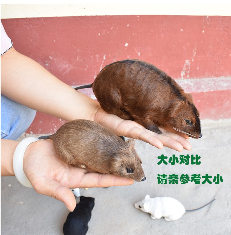 真皮仿真老鼠动物模型公仔玩偶吓人整盅神器假耗子家居摆件 大号老鼠