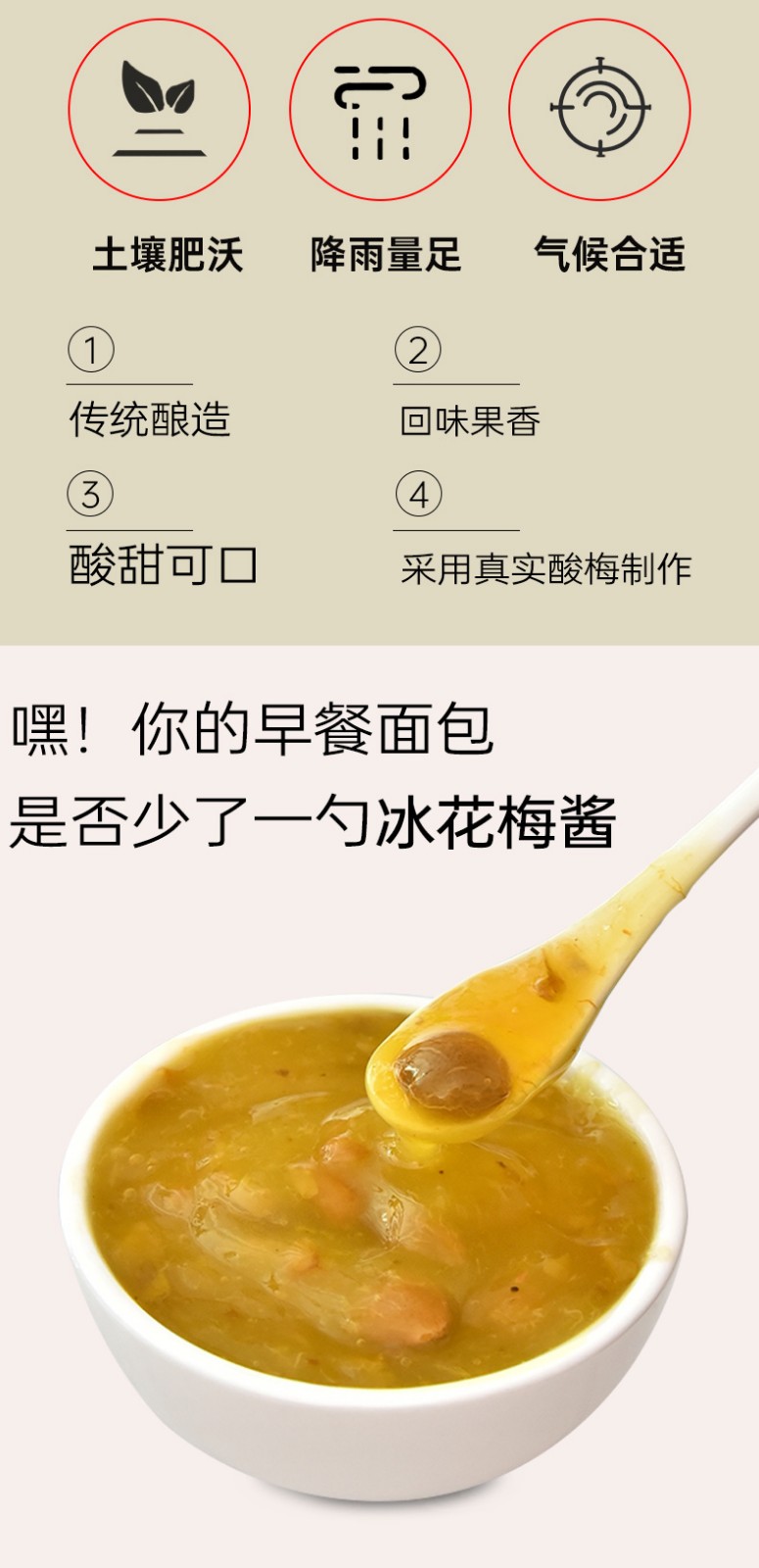冰花梅子酱320g*2瓶 冰花酸梅酱调味酸梅酱小包甜酸梅酱烧鸭料配料