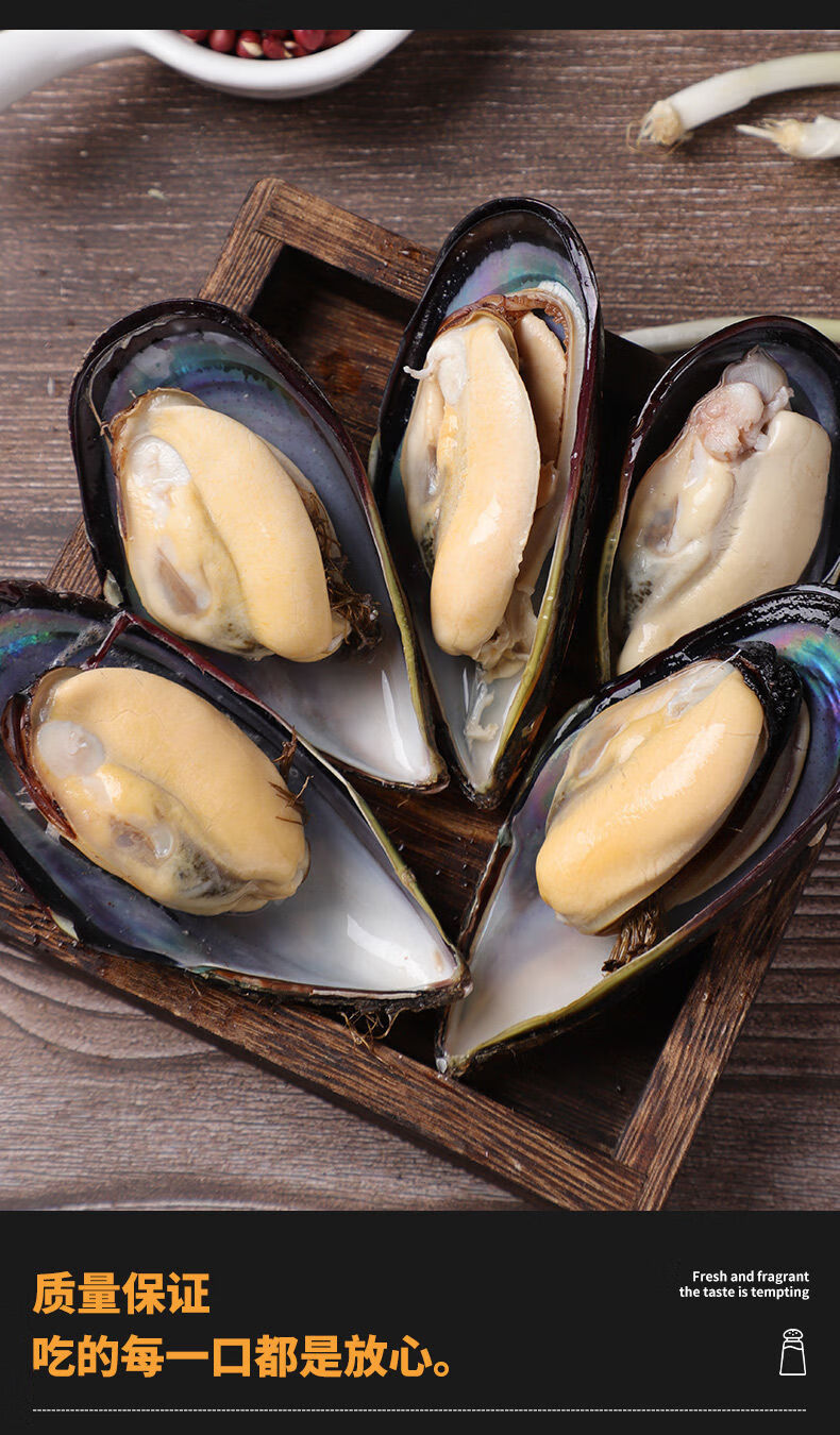 当天现捞新鲜无沙大海虹舟山贻贝青口贝当季鲜活淡菜冷链买6斤送2斤实