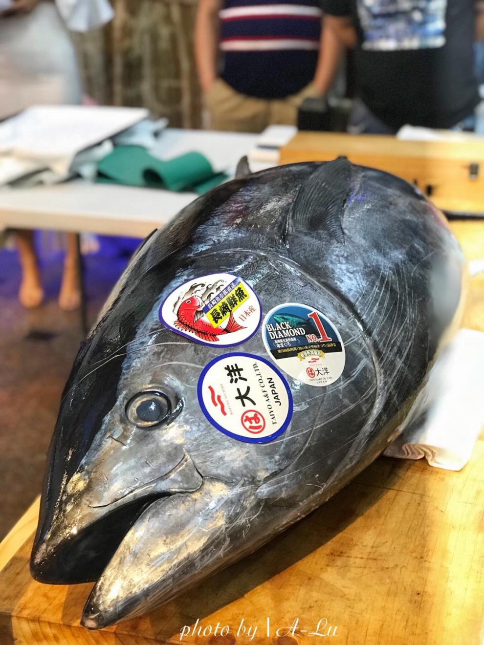 高端刺身赤身中段中肥海鲜蓝鳍大目白金枪大目金枪鱼刺身食用5斤