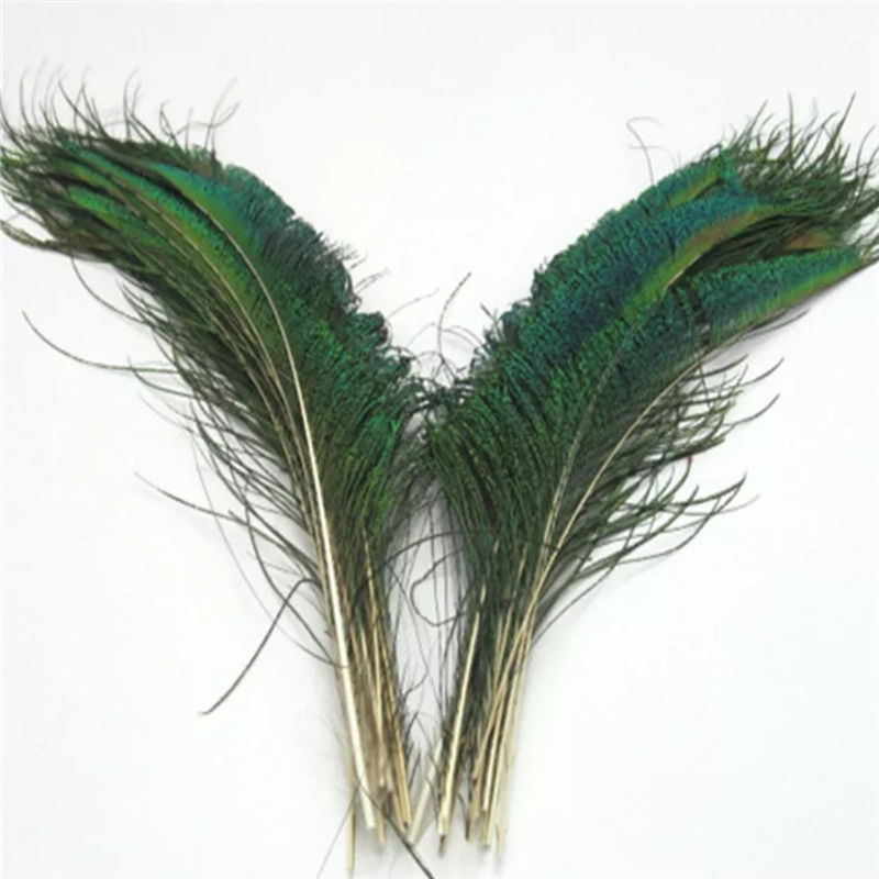 孔雀尾羽进口大眼睛真孔雀羽毛翎尾diy工艺家居花瓶装饰品摆设 买5根