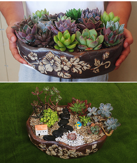 特大口径多肉花盆个性创意拼盆大号粗陶瓷肉肉盆器批发 良长棕限时