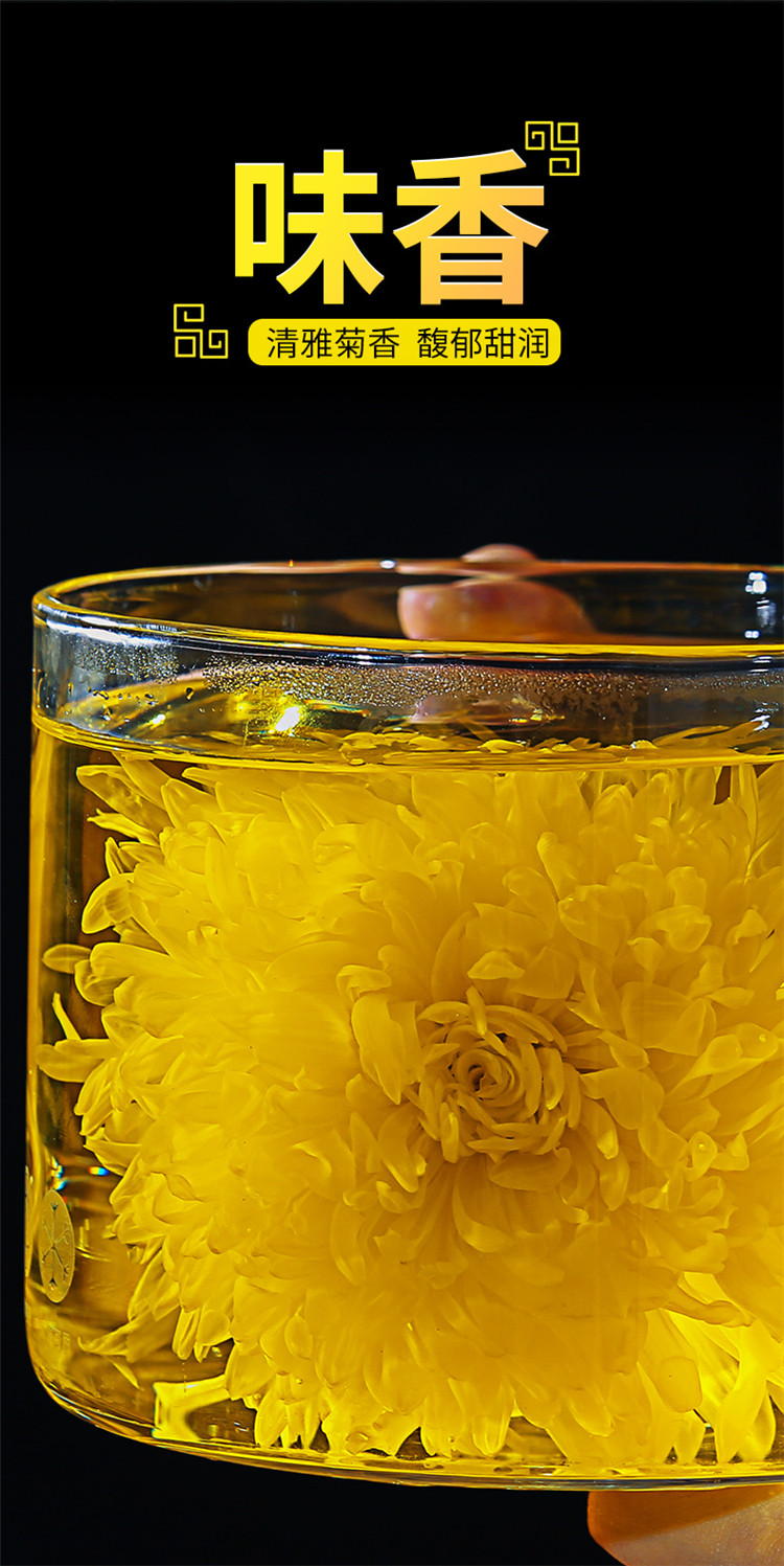 5折 大朵花 金丝皇菊特级一杯一朵大朵菊花茶金丝黄菊大皇菊礼盒装 a7