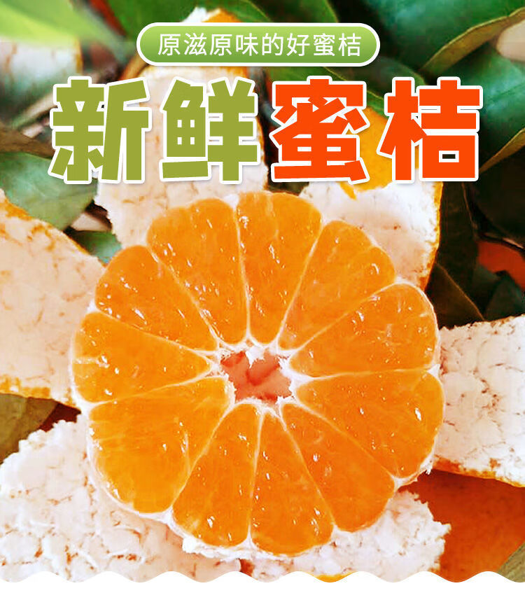 新鲜宜昌橘子桔子水果当季薄皮青皮蜜桔柑橘酸孕妇无籽蜜桔无籽蜜桔