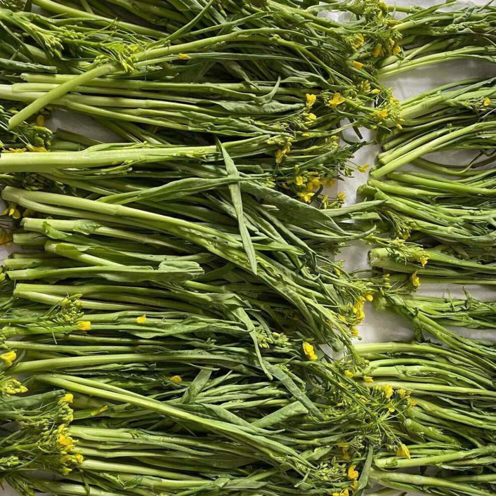 广西桂林农家特色蔬菜当天采摘新鲜柳叶菜花菜心绿菜苔3斤店长