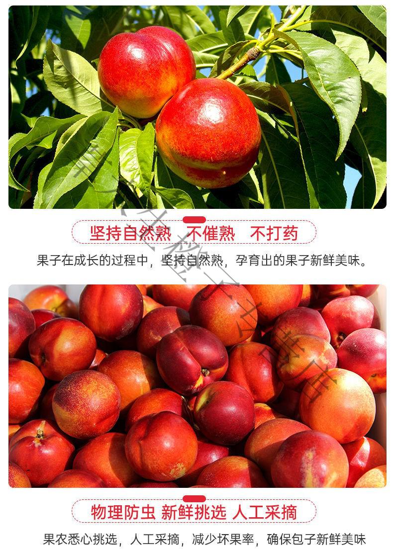 恬女神澳大利亚白油桃南半球当季新鲜水果鲜桃子澳洲水果2斤