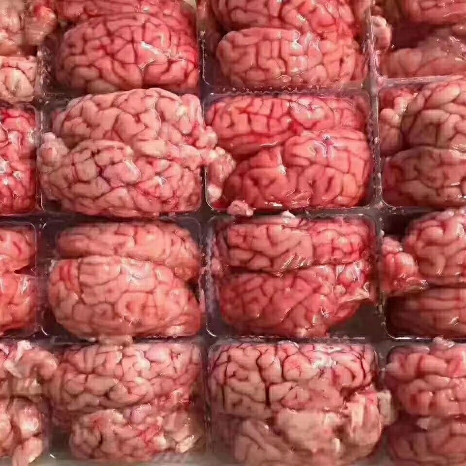 新鲜羊脑羊对脑山羊脑子羊脑花羊脑髓新鲜羊脑1斤