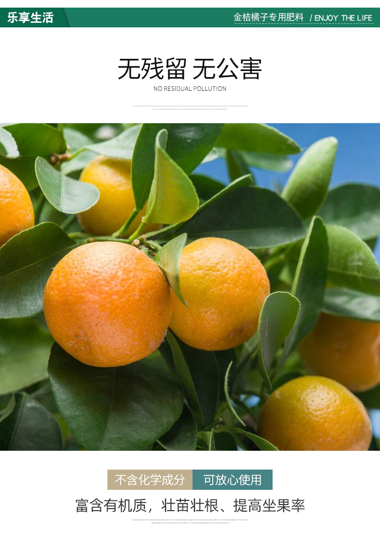 采缇橘子金桔专用肥料橘子树有机肥金柑柚子复合肥柠檬营养液保果增甜