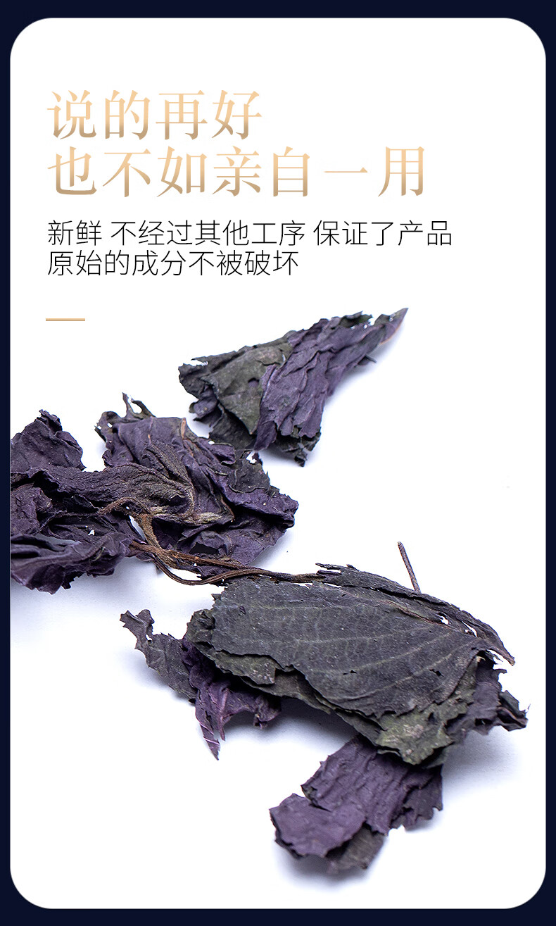 紫苏叶干紫苏叶500g克紫苏叶新鲜食用苏叶赤苏紫苏香苏叶