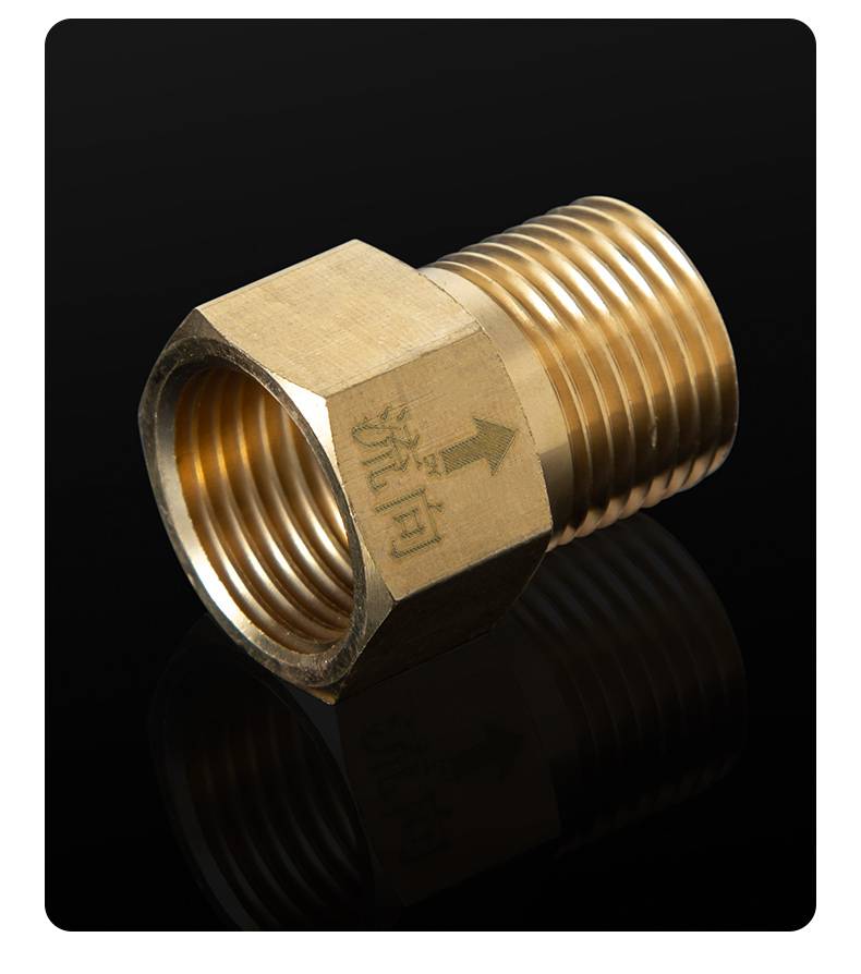 马桶止逆阀防反水 单向止回阀全铜马桶4分防反水卫生间水管止水阀防回