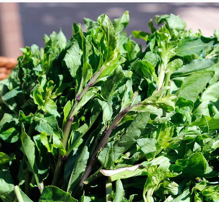 云南高原野生枸杞菜,农家野菜,精挑细选嫩芽苗,顺丰快递 泡沫箱 冰袋