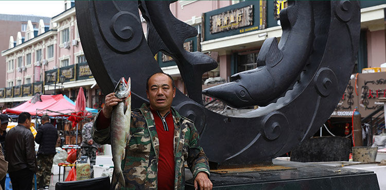 大马哈鱼黑龙江特产新鲜速冻马哈东北整条冷冻大鱼淡水鱼 6斤马哈鱼一