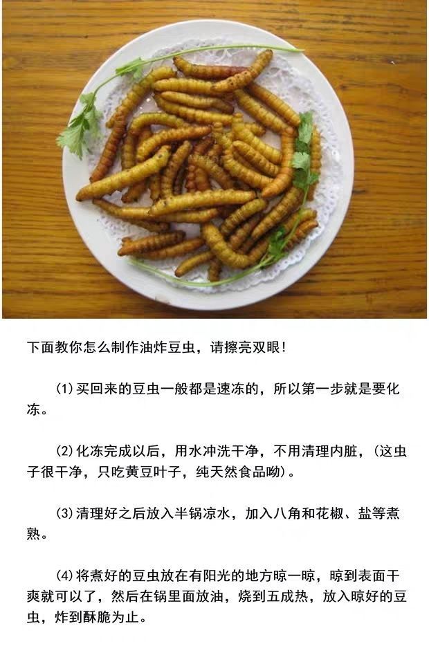 批发豆虫野生山东豆虫豆丹豆虫活体豆虫即食炸豆虫活豆虫豆青虫半斤