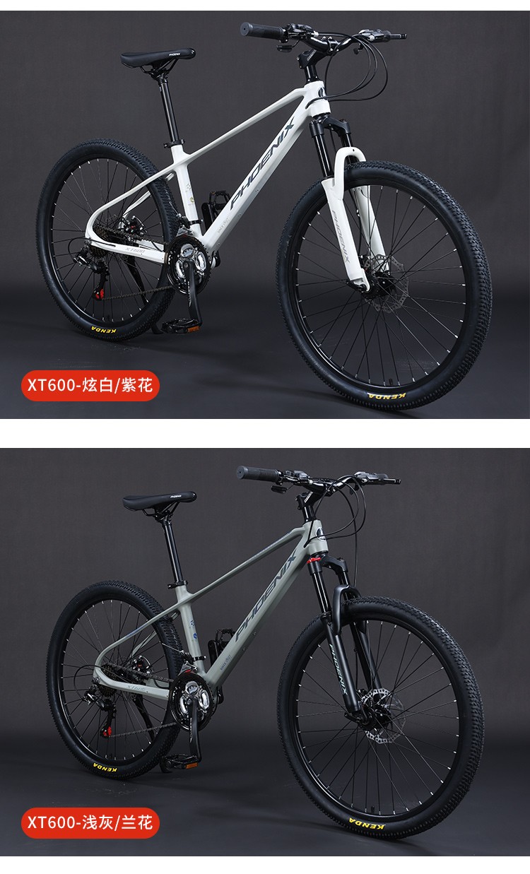 凤凰自行车青少年凤凰牌山地车自行车成人男式铝合金轻量化变速单车