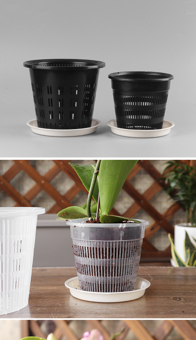 番易蝴蝶兰用控根盆塑料镂空疏水透气石斛盆多肉洋兰网文花盆白色140