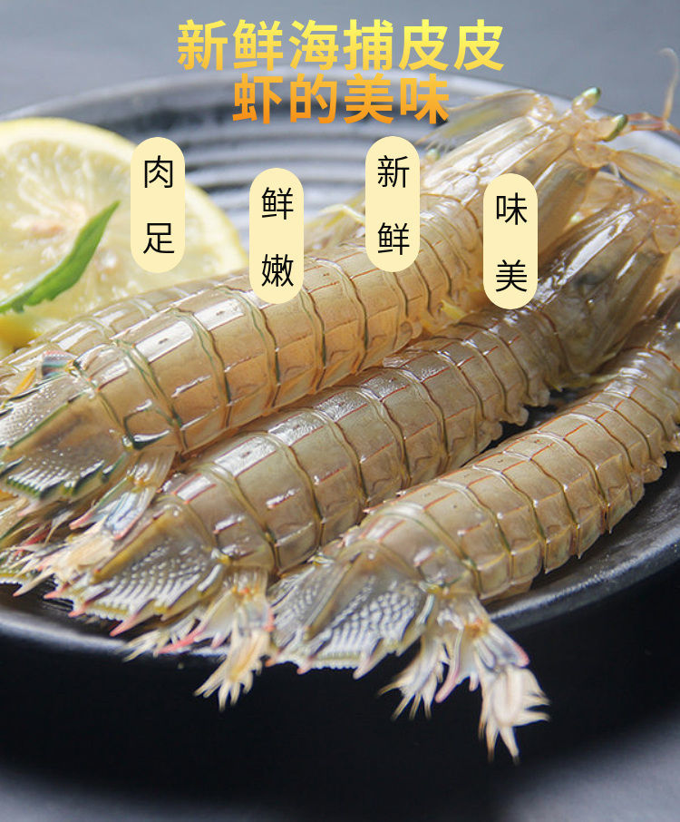 皮皮虾的种类图片