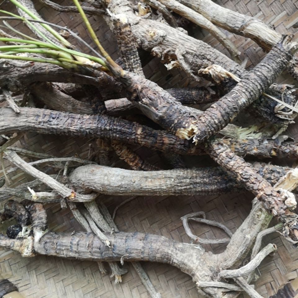 康中尊 贵州野外生岩川芎根干货500克 中药原材料岩防风野川芎光头