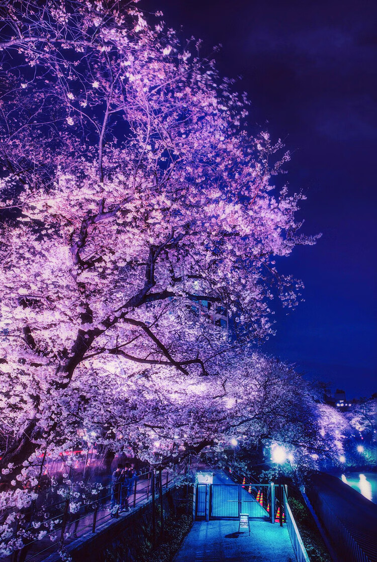 万代 富士山成人1000片木质拼图唯美风景日本经典风光品质 富士山2号