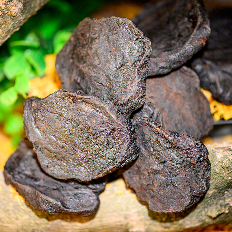 泽群 制何首乌 可自制何首乌茶 中药材饮片 500g/袋装【图片 价格