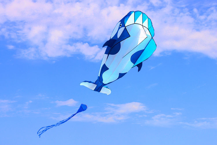 潍坊软体鲸鱼风筝新款海豚金鱼3d立体大人大型好易飞儿童风筝 蓝色彩