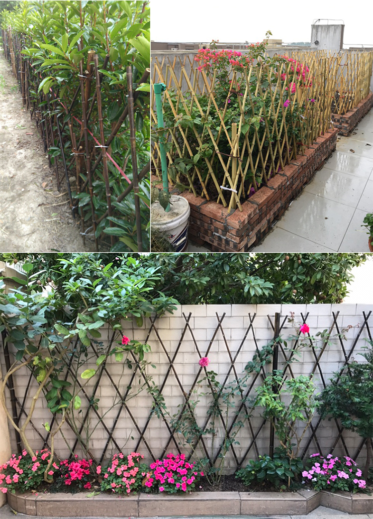 户外小栅栏围栏月季植物爬藤架子花支架花园竹竿阳台伸缩竹条篱笆