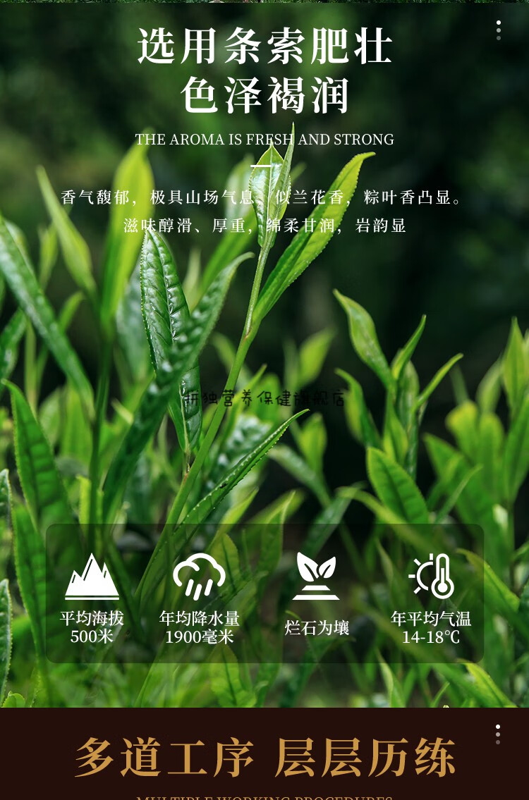 溪谷留香真脉系列竹窠水仙武夷岩茶醇滑绵柔甘润song礼礼盒装50g