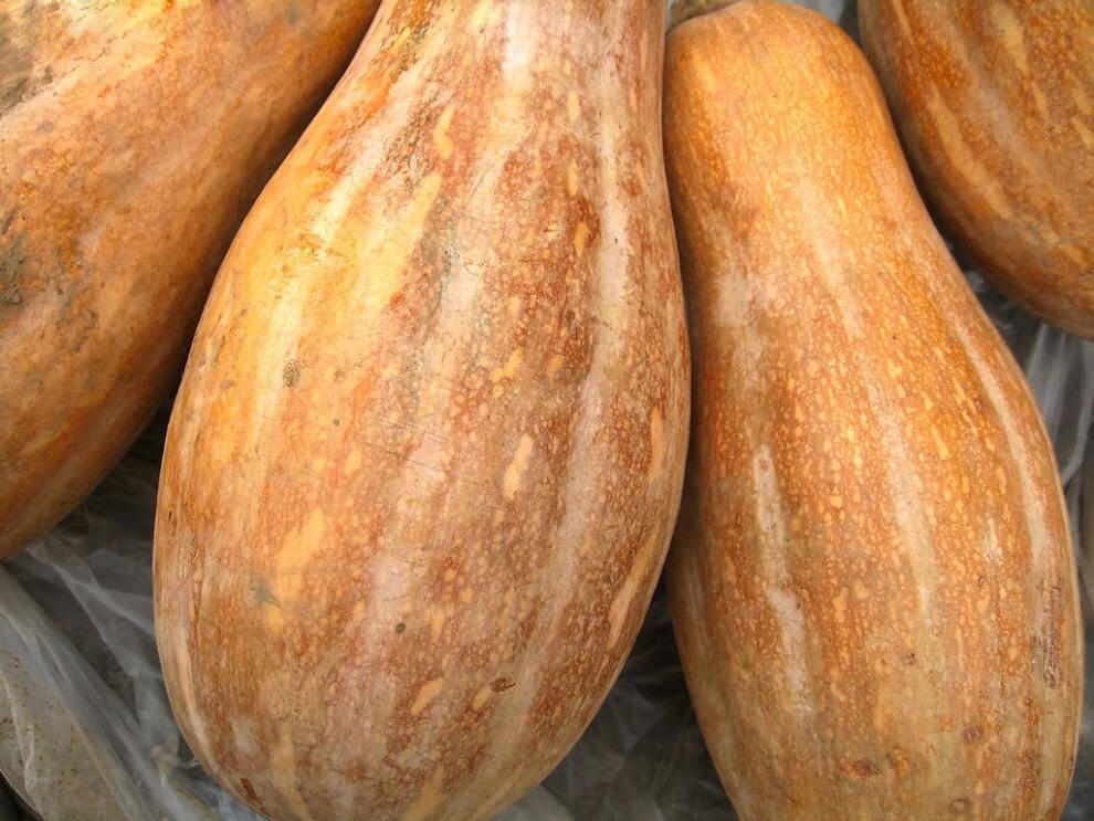 【京鲜达】2022新鲜黄南瓜宝宝农家粉糯老南瓜老品种长南瓜整箱生鲜蔬