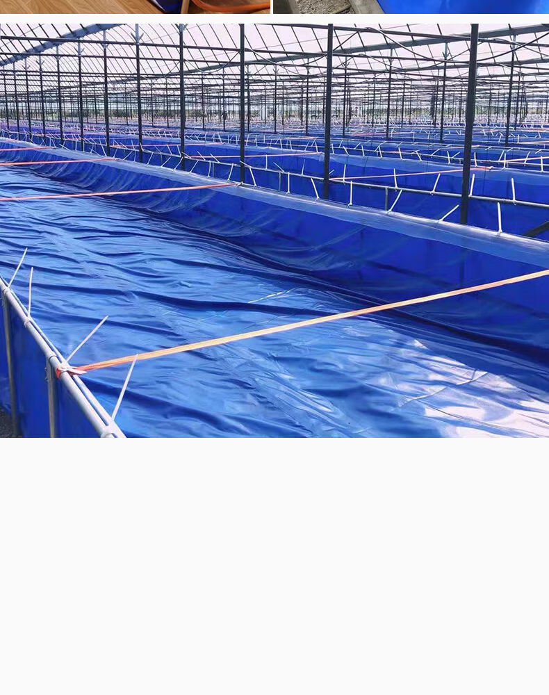 养殖帆布水池大棚鱼池加厚刀刮布水池水蛭龙虾对虾水箱养鱼长1宽1高1