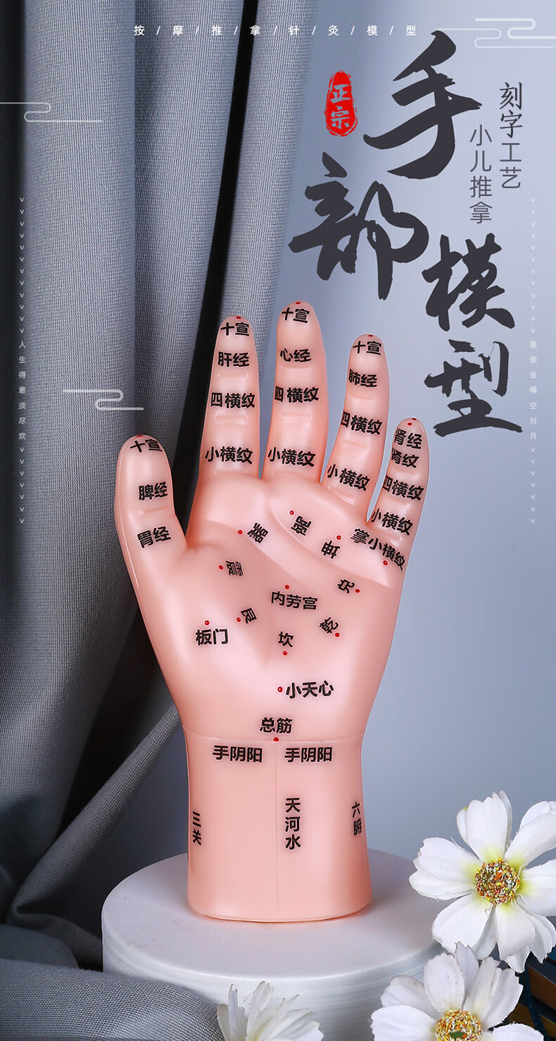 【jd健康】按摩手模型反射区人体针灸模型男女穴位经络针灸中医位手图