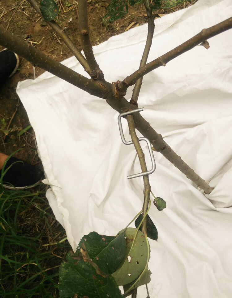 盆景工具 园林工具果树拉枝神器定型器压枝器多功能家用盆景固定通用