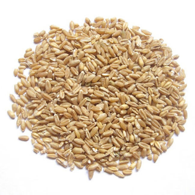 甘麦大枣汤 气郁较严重 养生堂 炙甘草 淮小麦 大枣 淮小麦 炙甘草