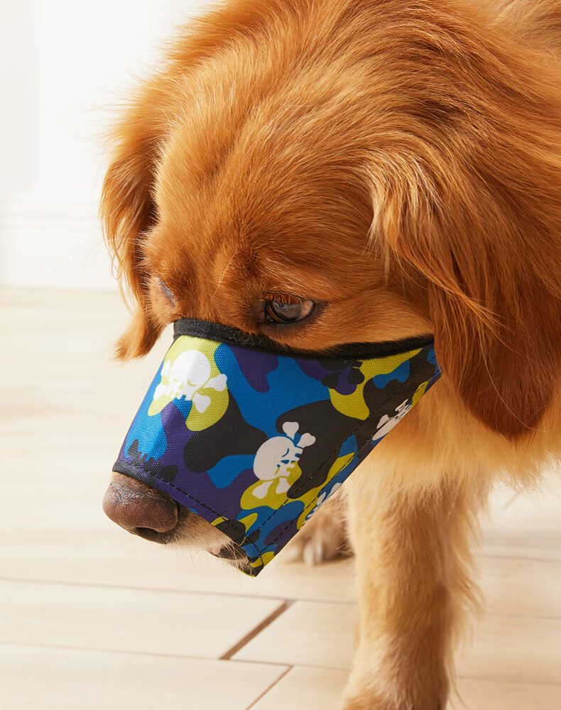 矢向 狗狗嘴套防咬狗口罩泰迪防乱叫嘴套大型犬金毛防乱吃嘴罩宠物