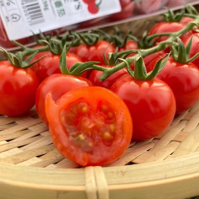 玫栀串收番茄无土栽培西红柿串收小番茄整箱顺丰串红樱桃番茄2串