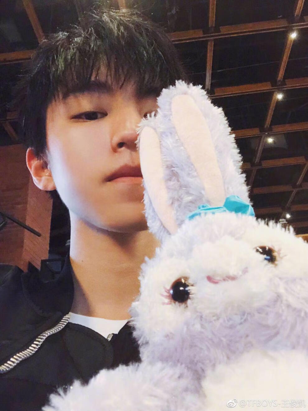 史黛拉兔 王俊凯同款史黛拉兔公仔芭蕾兔星黛露兔子stella lou达菲兔