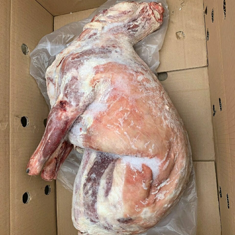 新鲜冷冻烤全羊内蒙古小羔羊烧烤酒店食材10斤装多退少补